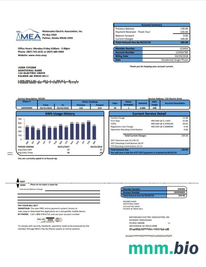 Szablon rachunku za energię elektryczną USA MEA Alaska w formacie Word i PDF